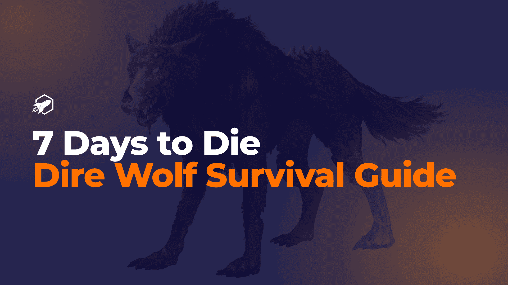 decorative image for blogpost