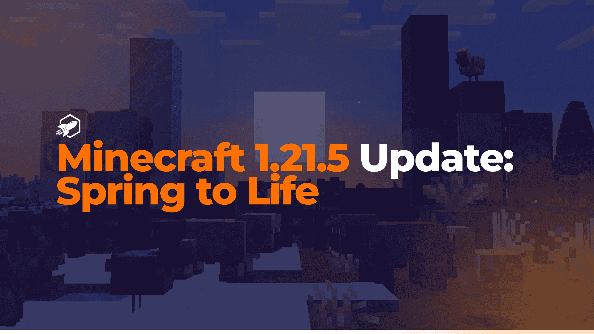 decorative image for blogpost