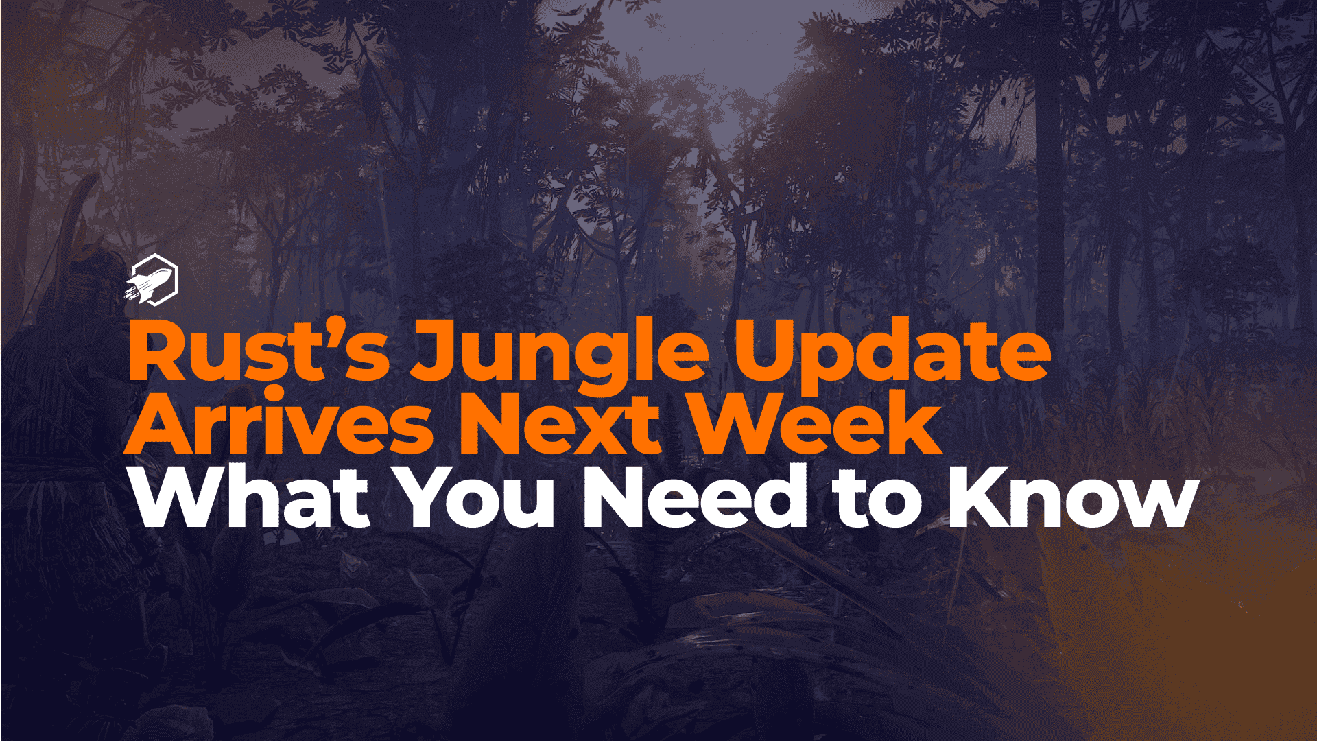 decorative image for blogpost